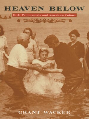cover image of Heaven Below